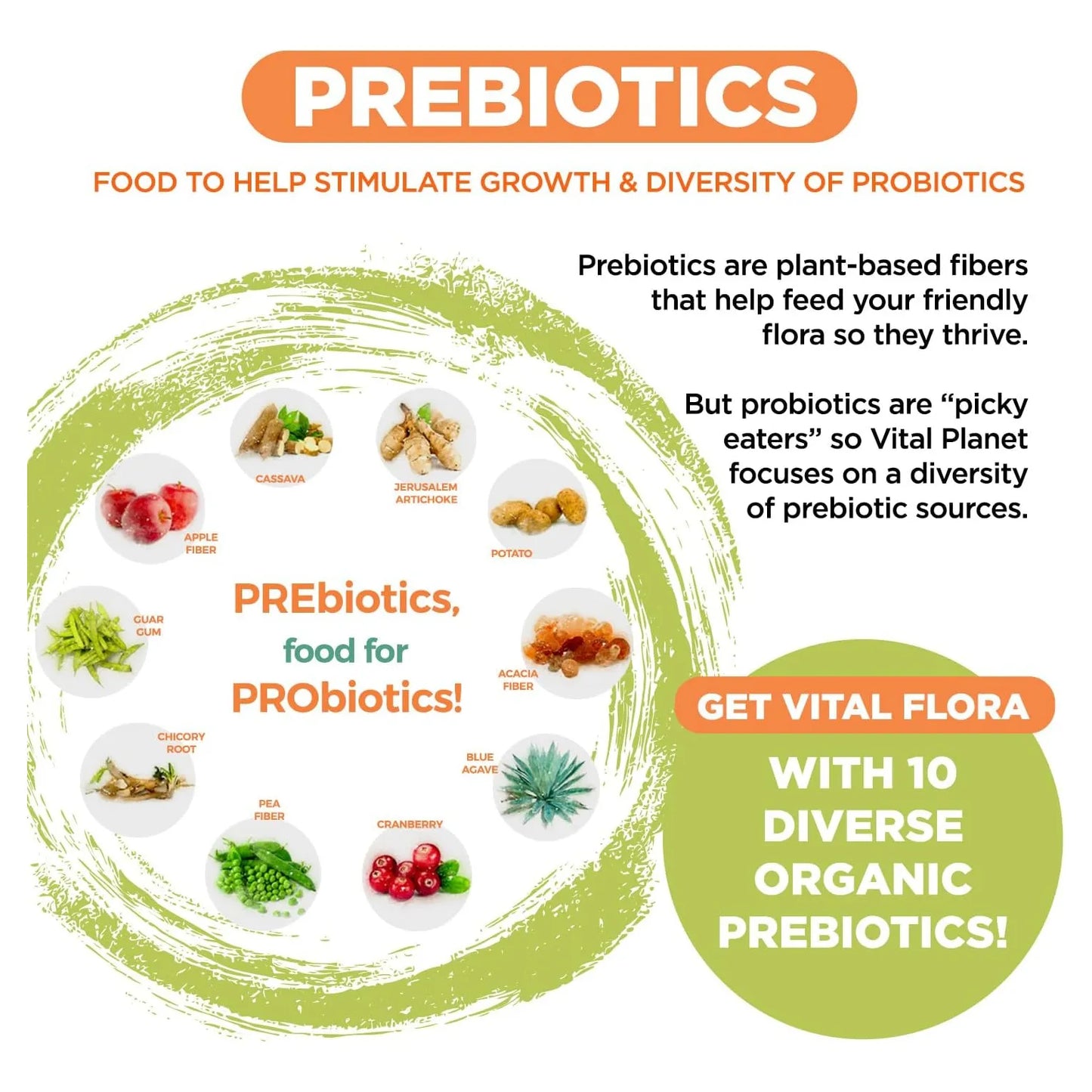 Probiótico Avanzado Vital Flora 100 Mil Millones UFC 100 Cepas Con Prebióticos Soporte Inmunológico Y Digestivo