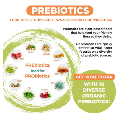 Probiótico Avanzado Vital Flora 100 Mil Millones UFC 100 Cepas Con Prebióticos Soporte Inmunológico Y Digestivo