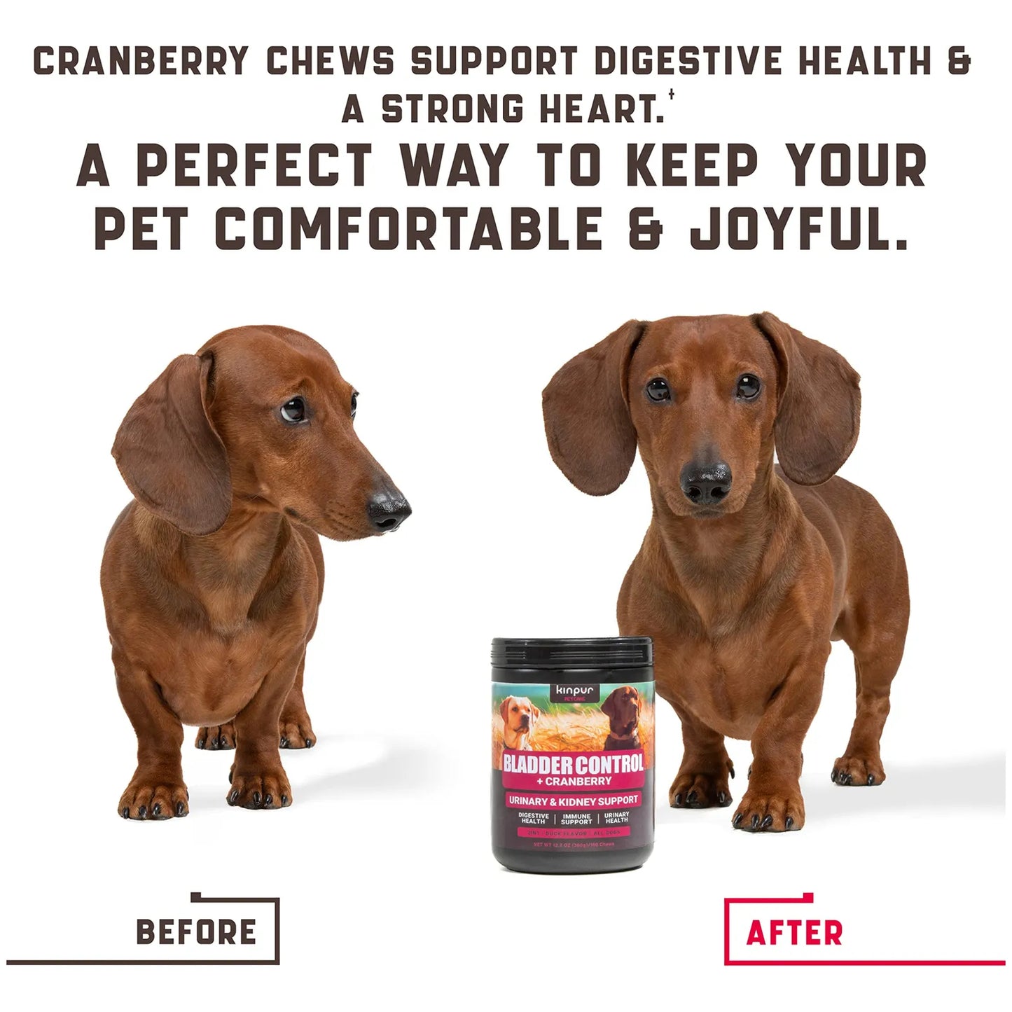 Tratamiento Natural Para Infecciones Urinarias En Perros 180 Masticables Con Arándano Y Dmanosa
