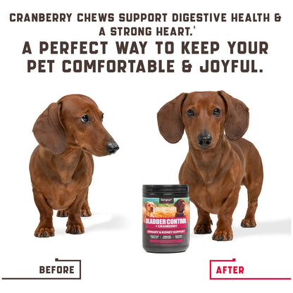 Tratamiento Natural Para Infecciones Urinarias En Perros 180 Masticables Con Arándano Y Dmanosa