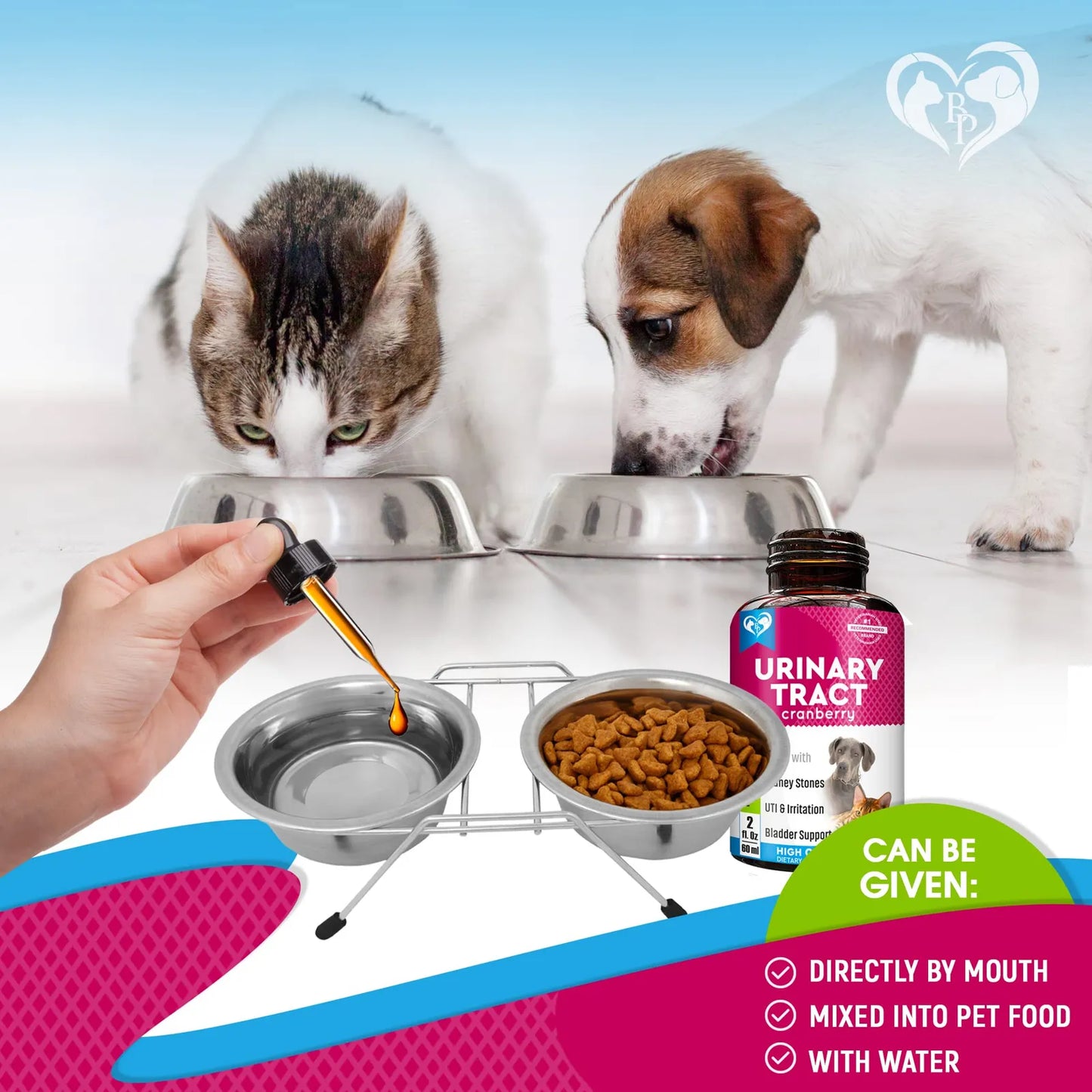 Tratamiento Natural Infecciones Urinarias Gatos Y Perros Arándano Y Soporte Renal
