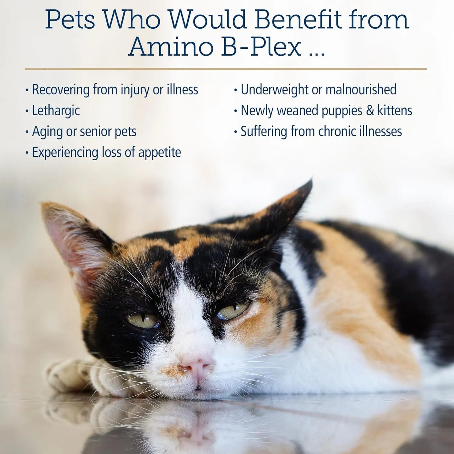 Complejo Líquido De Vitamina B Y Aminoácidos Para Gatos Y Perros Rx Vitamins Amino B Plex