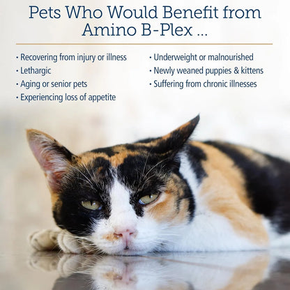 Complejo Líquido De Vitamina B Y Aminoácidos Para Gatos Y Perros Rx Vitamins Amino B Plex