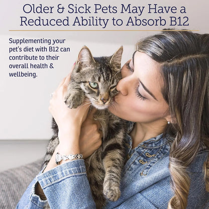 Vitamina B12 Para Perros Y Gatos Apoyo Digestivo Metabólico Y Nervioso