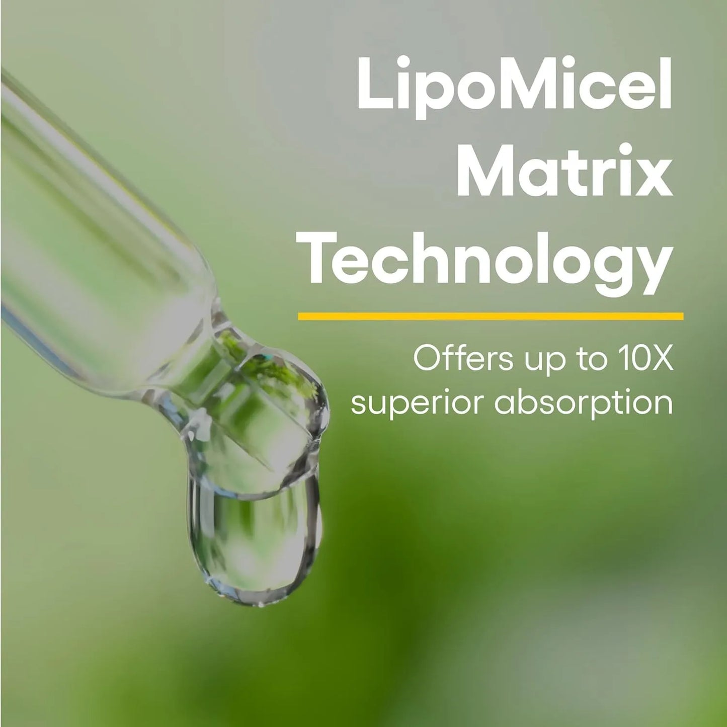 Quercetina Lipomicel Matrix 120 Capsulas Antioxidante Y Refuerzo Inmunologico