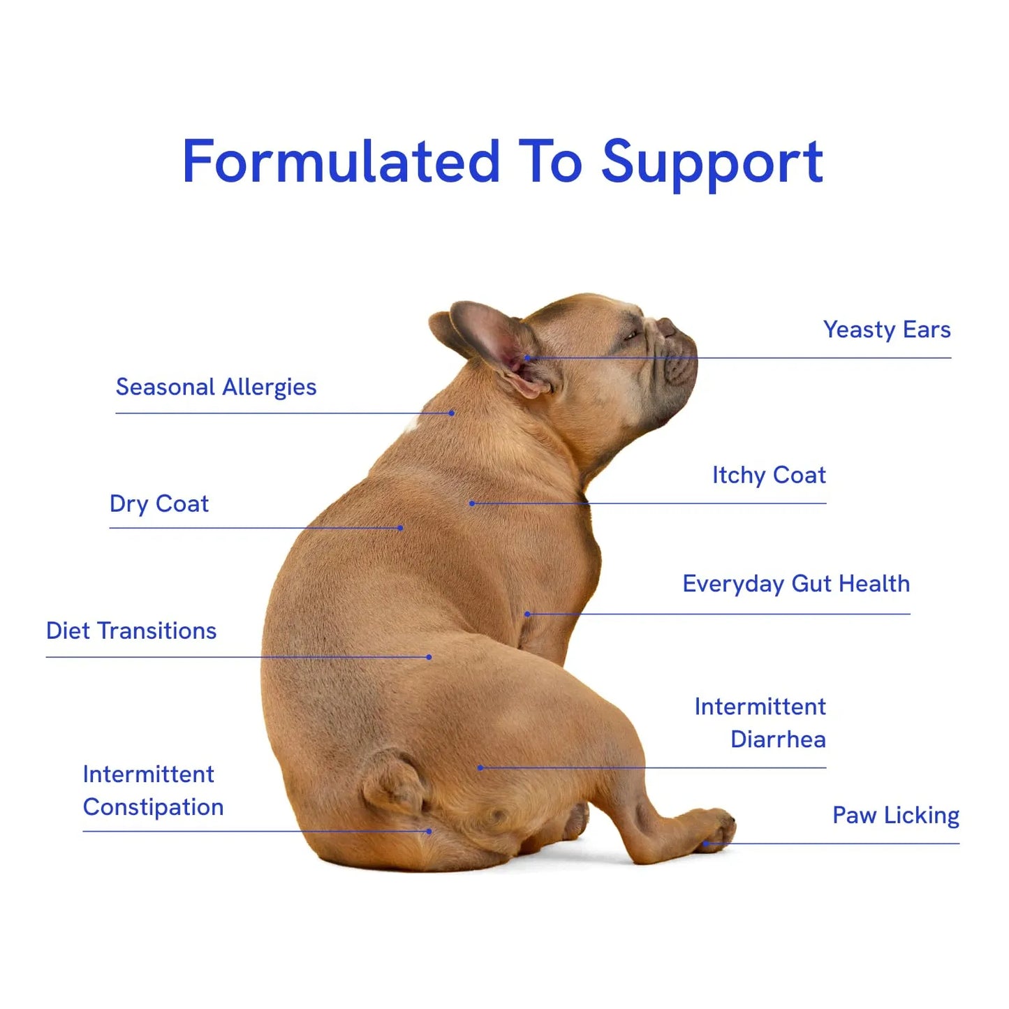 BellyBuddy Suplemento Prebiótico Probiótico Y Fibra 3 En 1 Para Perros Salud Intestinal