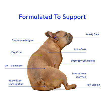 BellyBuddy Suplemento Prebiótico Probiótico Y Fibra 3 En 1 Para Perros Salud Intestinal