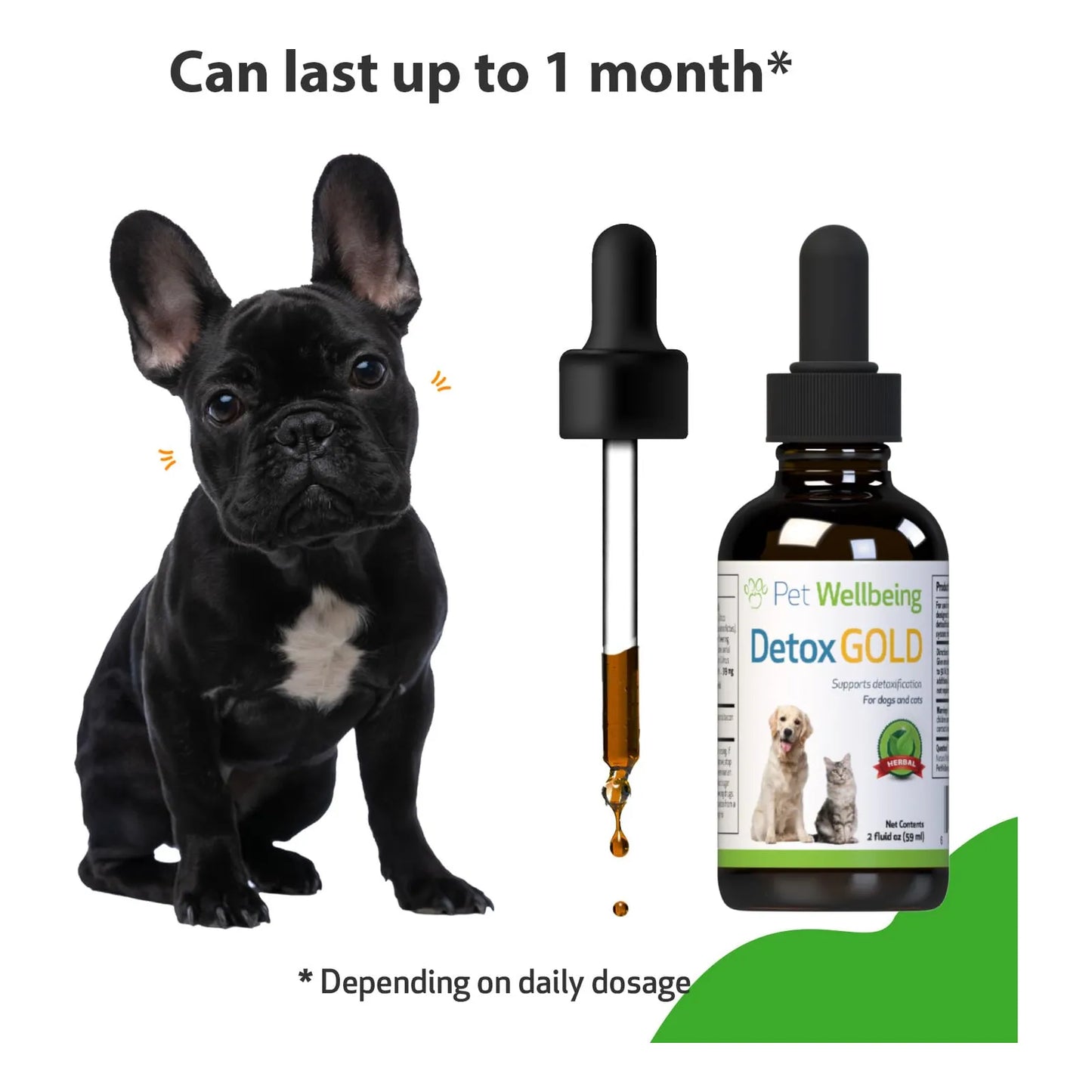 Detox Gold Para Perros Suplemento Natural Desintoxicante Y Fortalecedor Inmunologico