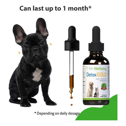 Detox Gold Para Perros Suplemento Natural Desintoxicante Y Fortalecedor Inmunologico