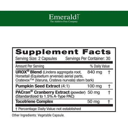 Suplemento Salud Vejiga Extracto Arándano Semilla Calabaza 60 Cápsulas Vegano