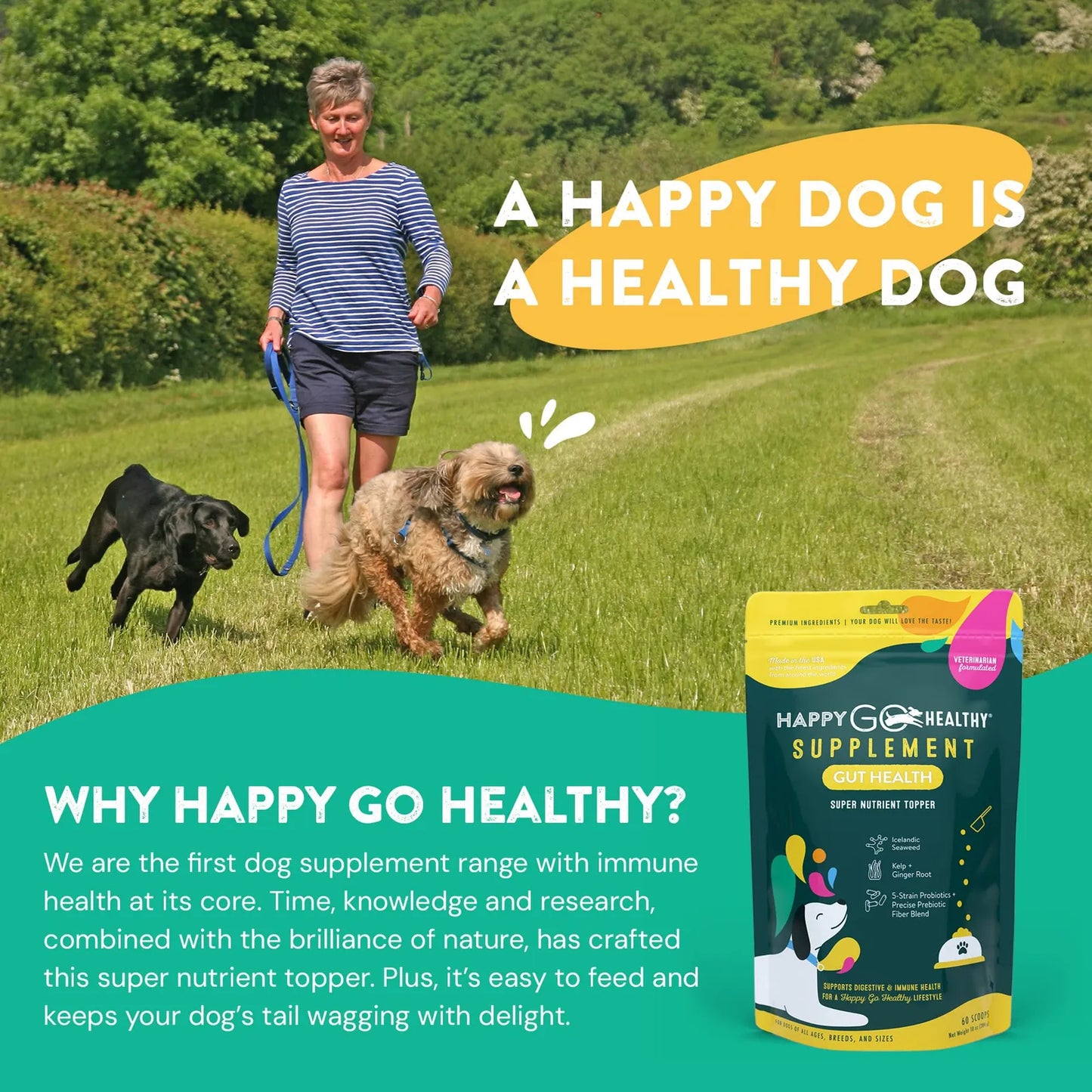Suplemento De Probióticos Para Perros Salud Intestinal Y Digestiva Importado EE UU