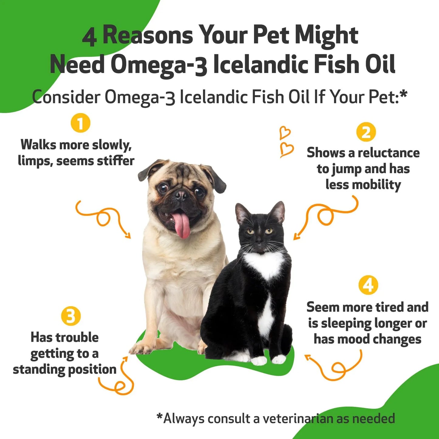 Aceite De Pescado Omega 3 Para Perros Salud Articular Piel Brillante