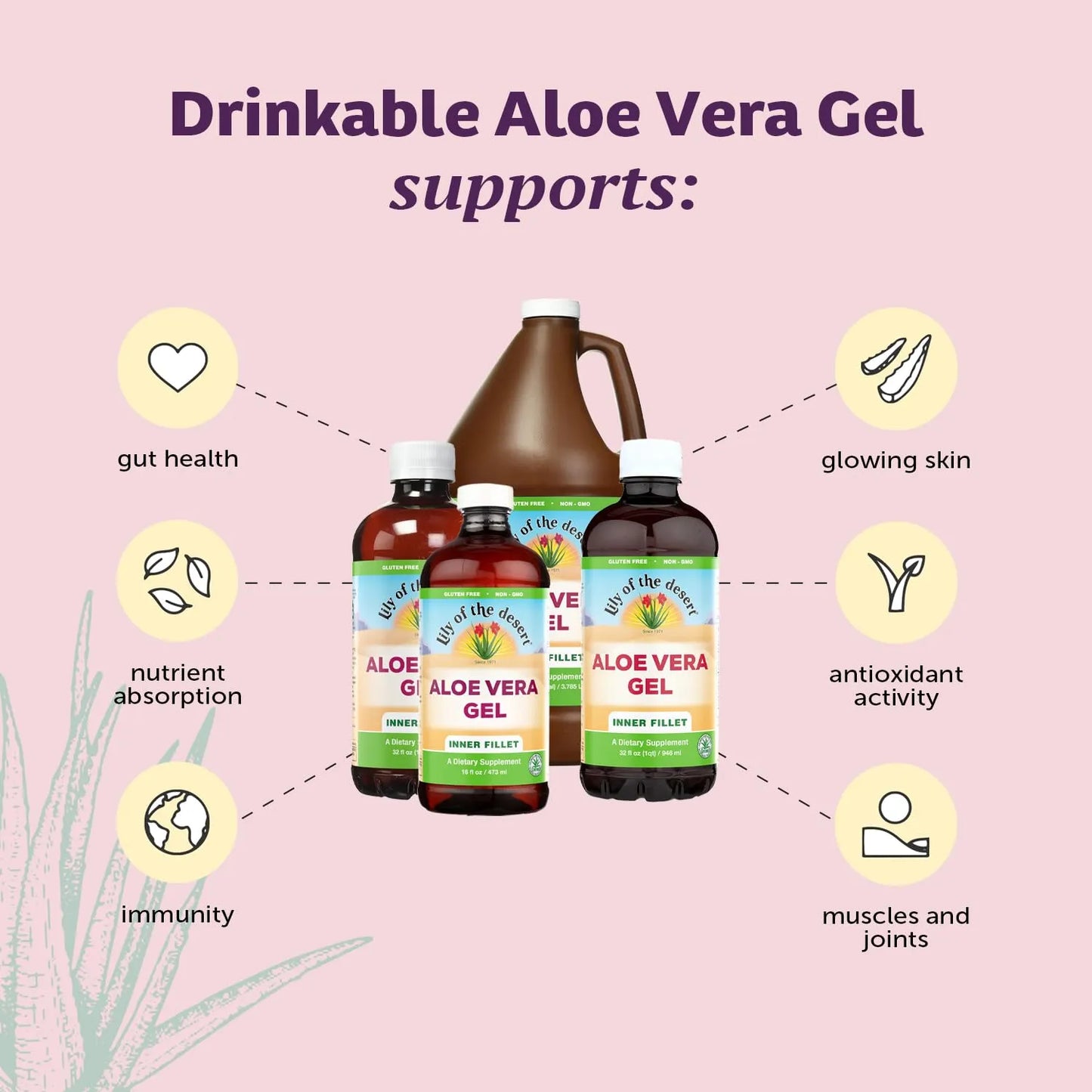 Bebida De Aloe Vera Con Vitaminas Naturales Y Enzimas Digestivas Para Salud Intestinal