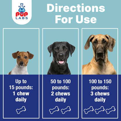 Probióticos Esenciales Para Perros Salud Intestinal Y Bienestar