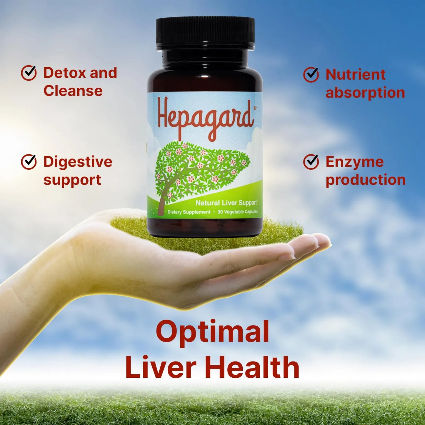 Suplemento Natural Hígado N Acetil Cisteína 600mg 120 Cápsulas Desintoxicación Hepática