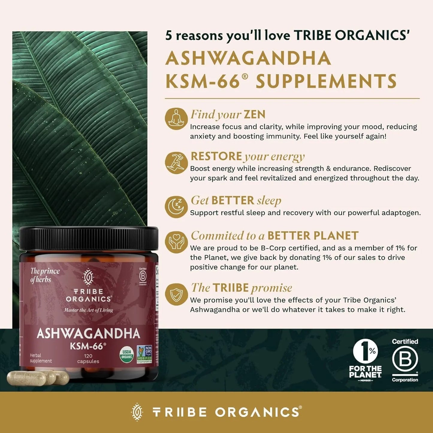 Ashwagandha Ksm66 Extracto Natural 90 Cápsulas Sin Sabor - Imagen 5