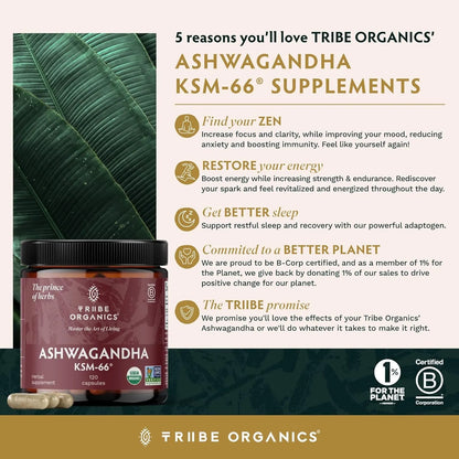 Ashwagandha Ksm66 Extracto Natural 90 Cápsulas Sin Sabor - Imagen 5