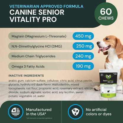 Vitalidad Avanzada Para Perros Mayores Apoyo Inmunológico Y Cerebral VetriScience