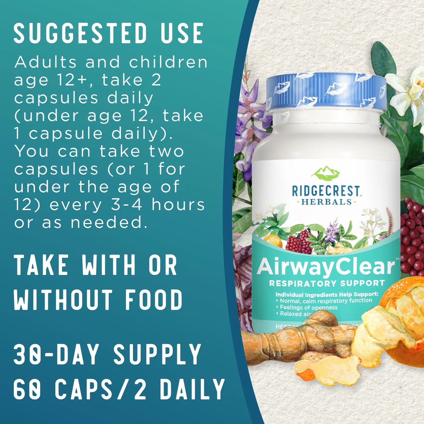 Suplemento AirwayClear Salud Pulmonar Con Schisandra Y Jengibre 60 Capsulas