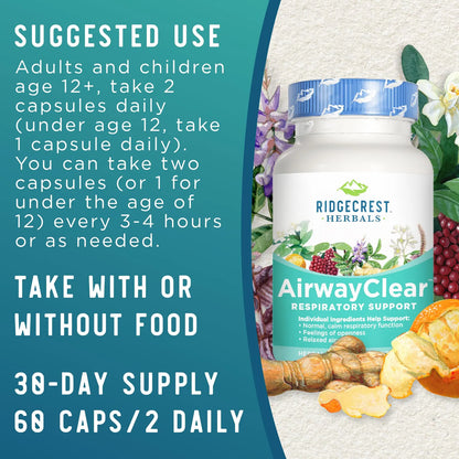 Suplemento AirwayClear Salud Pulmonar Con Schisandra Y Jengibre 60 Capsulas