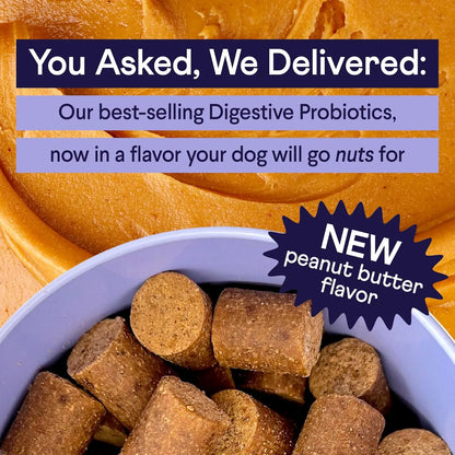 Probióticos Digestivos Para Perros Con Calabaza Soporte Intestinal E Inmunológico Finn