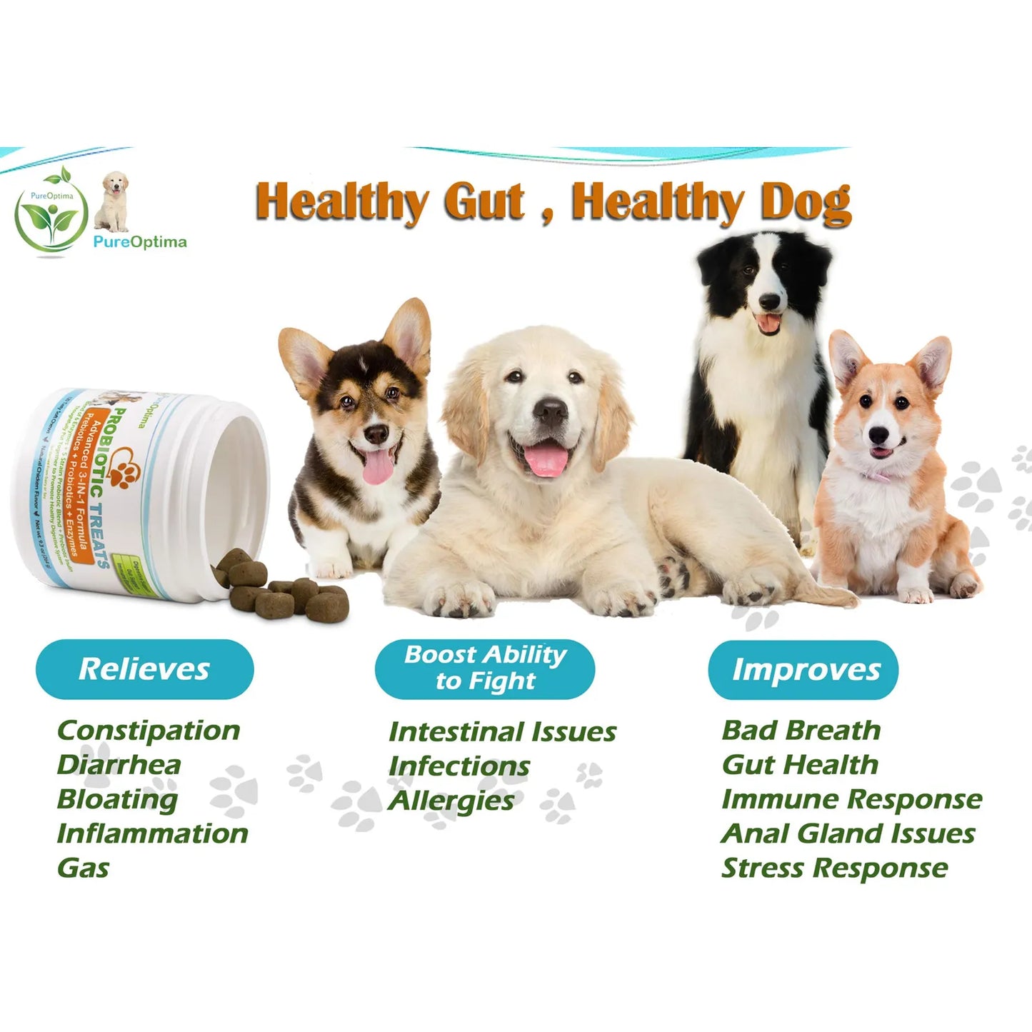 Probióticos Masticables Para Perros Con Enzimas Digestivas Mejora La Salud Intestinal