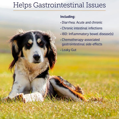 Capsulas Nutrigest Para Gatos Y Perros Probióticos Con Glucosamina Salud Digestiva
