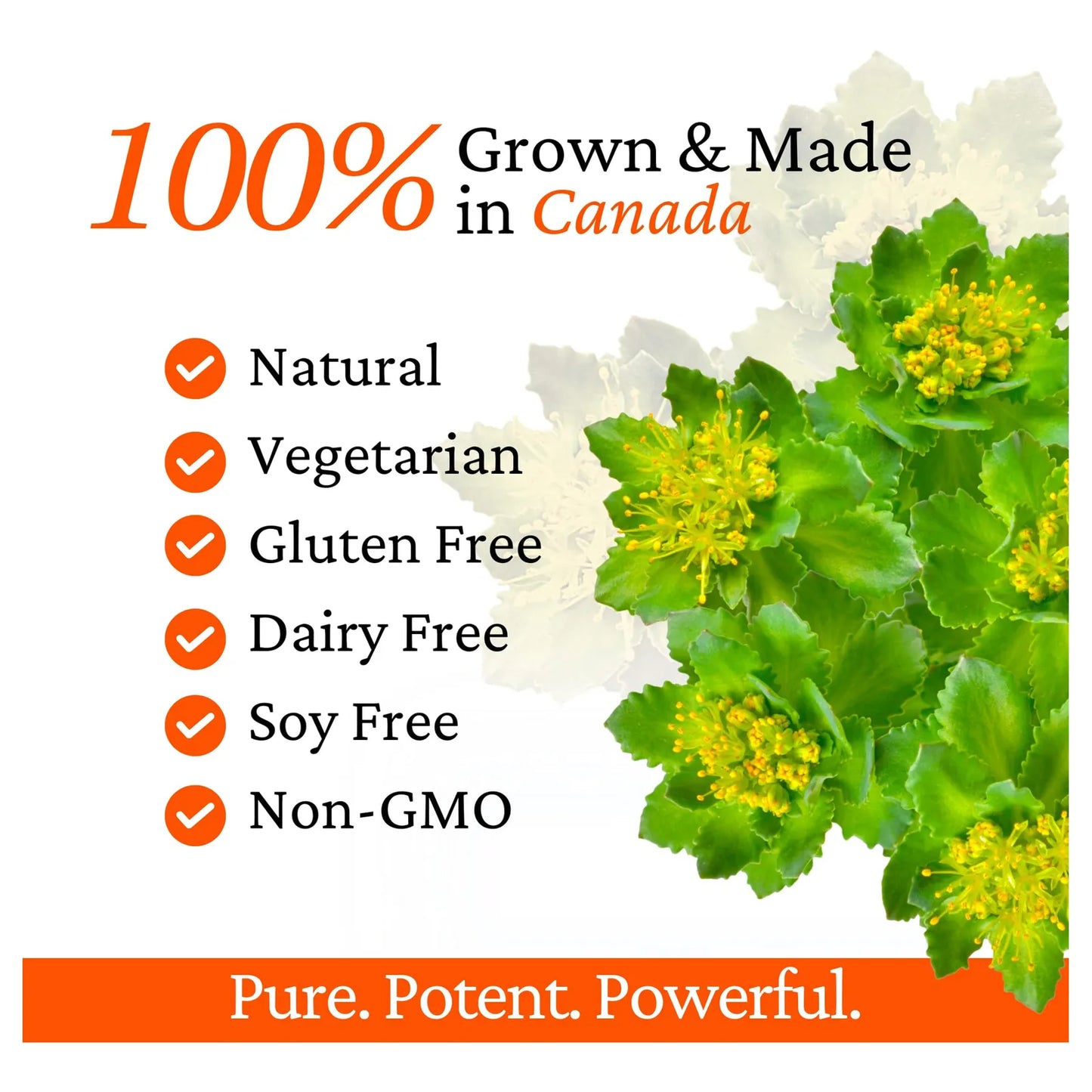 Capsulas Digestivas Con Enzimas Y Rhodiola Rosea Alivia Hinchazon Reflujo 60 Unidades