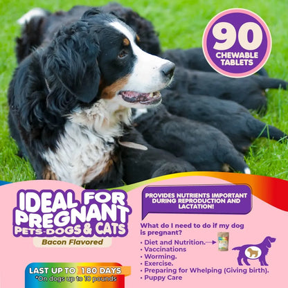 Vitaminas Prenatales Multivitaminico Para Perros Y Gatos Con Acido Folico Y Minerales