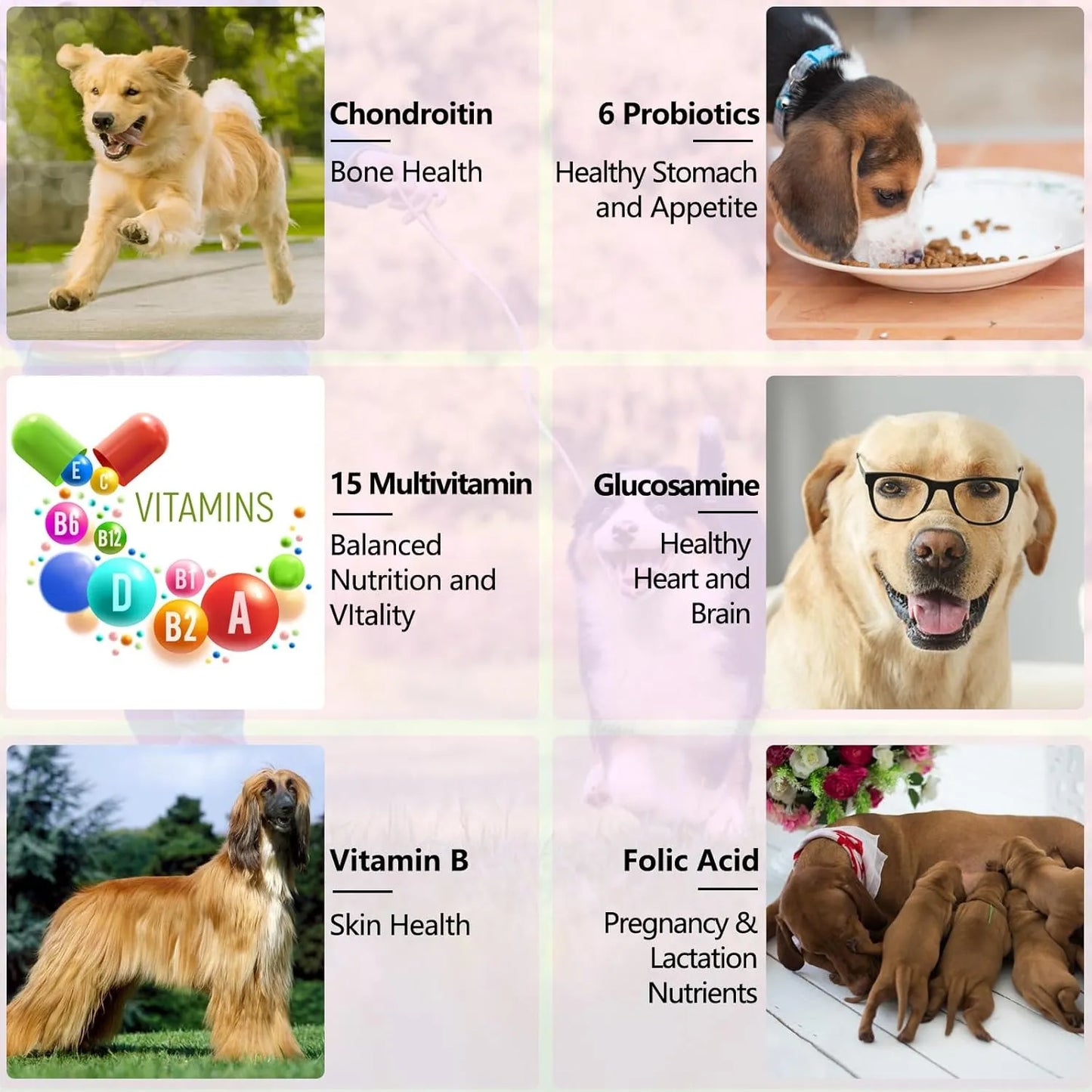 Multivitaminico Liquido 15 En 1 Para Perros Piel Corazon Y Articulaciones