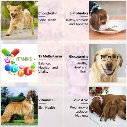 Multivitaminico Liquido 15 En 1 Para Perros Piel Corazon Y Articulaciones
