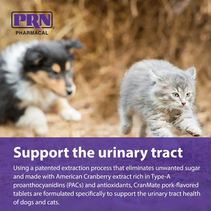 Suplemento Masticable De Arándano Para Perros Y Gatos Salud Urinaria 60 Tabletas