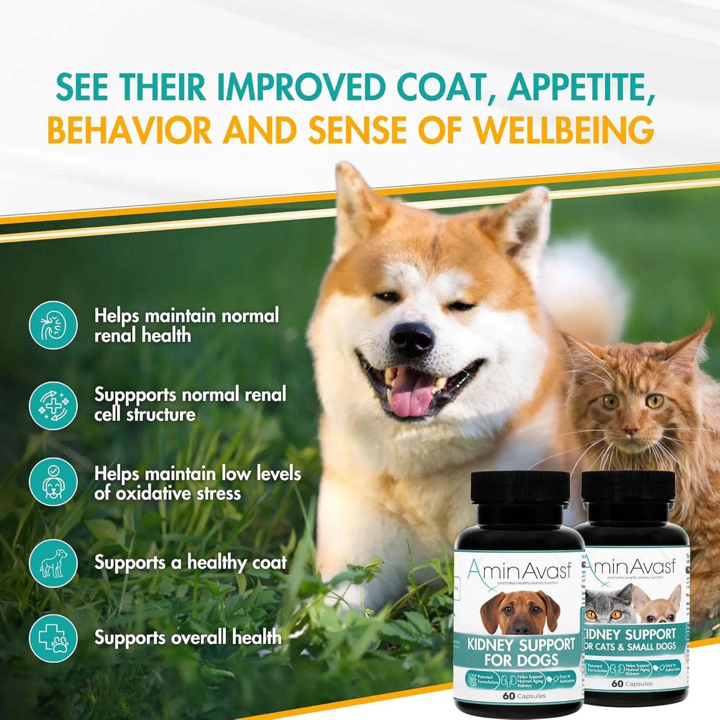 Capsulas AminAvast 1000 Mg Para Riñones De Perros Y Gatos Funcion Renal