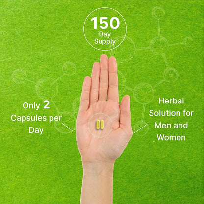 Quercetina 1000 Mg 300 Capsulas Antioxidante Soporte Inmunologico