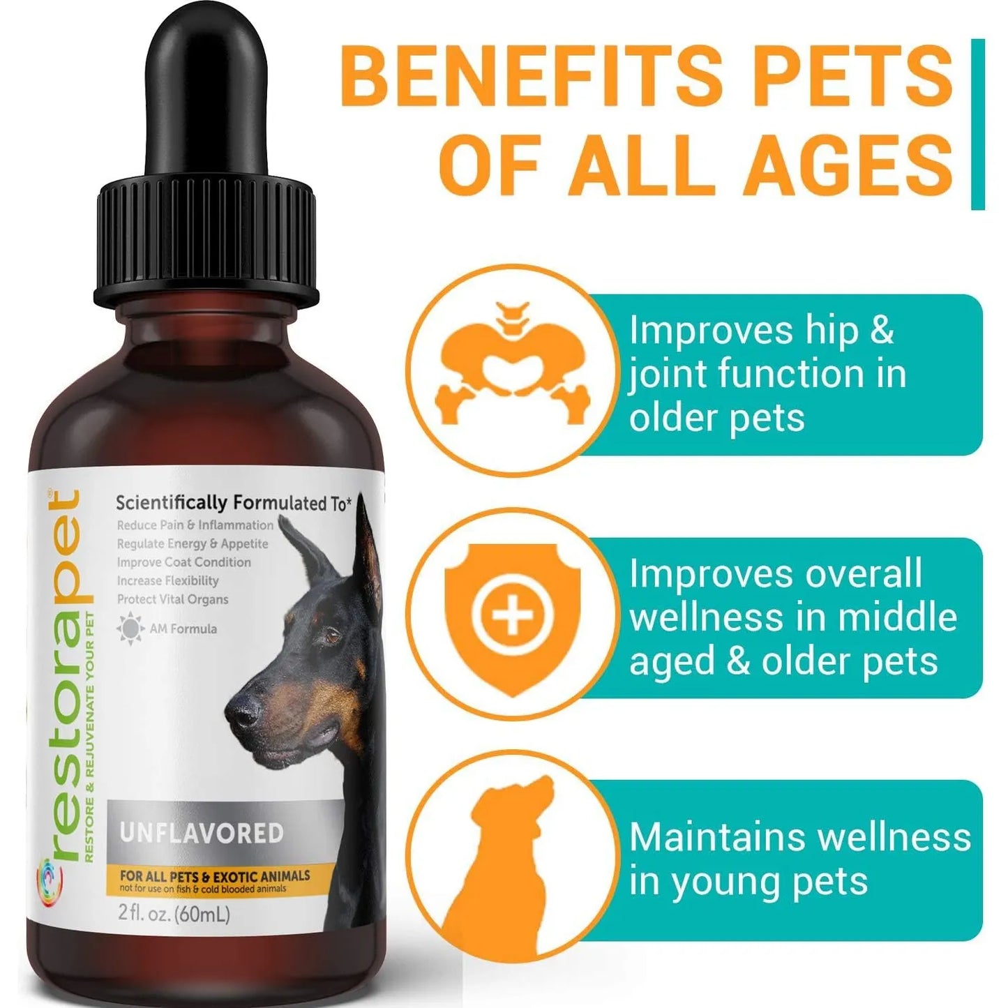 Multivitamínicos Líquidos Para Perros Y Gatos Paquete De 4 A