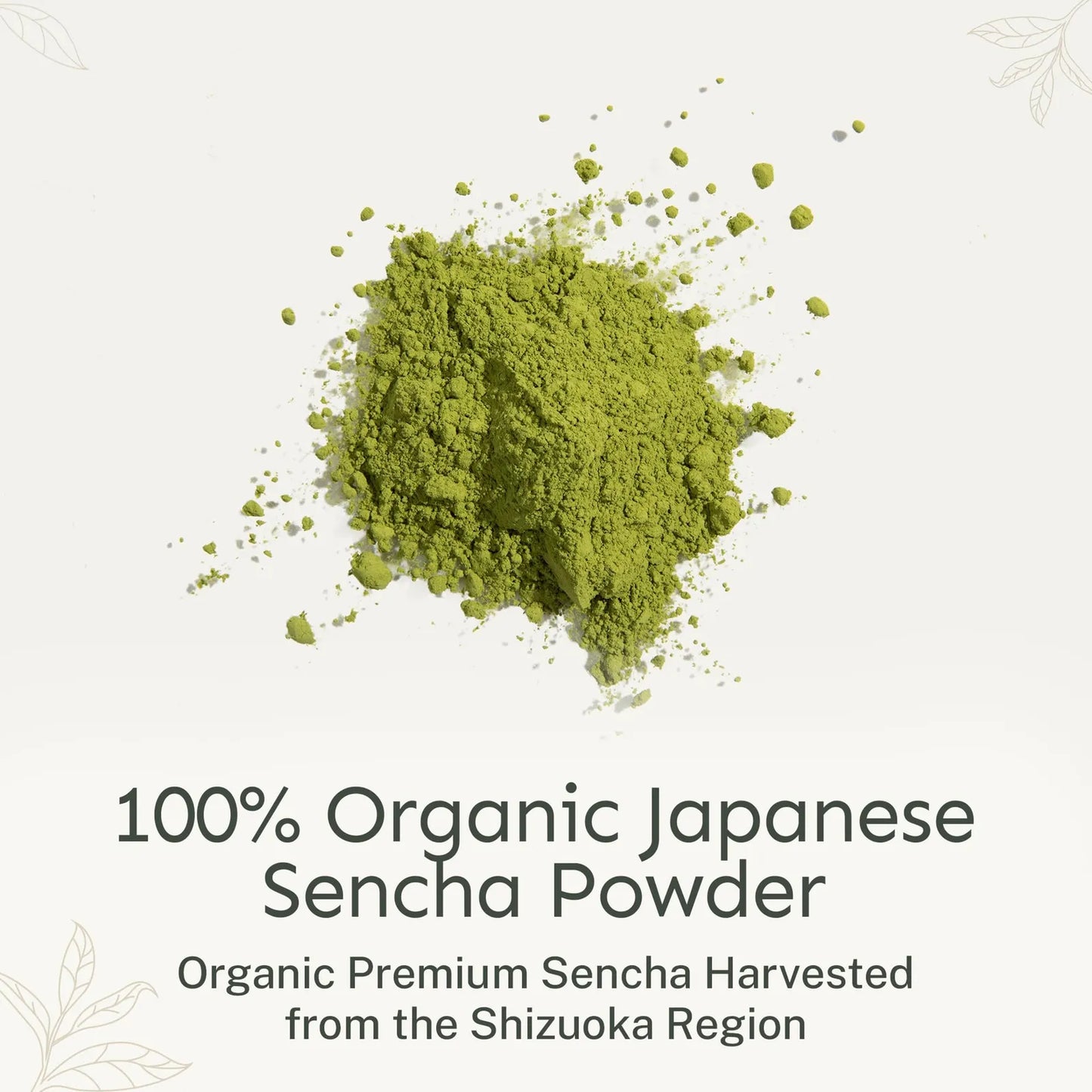 Té Verde Descafeinado Orgánico Sencha En Polvo 100 Porciones Antioxidante