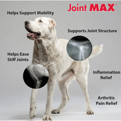 Masticables Hipoalergénicos Para Perros Con Glucosamina Condroitina Y MSM Triple Strength