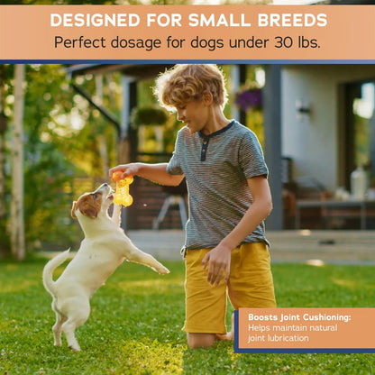 Masticables Suaves Para Perros Pequeños Con Glucosamina Condroitina MSM Alivio Articular 60 Unidades