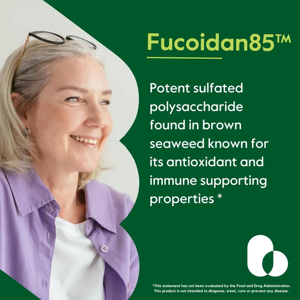 Extracto De Fucoidan 500 Mg 120 Cápsulas Estandarizado 85 Puro
