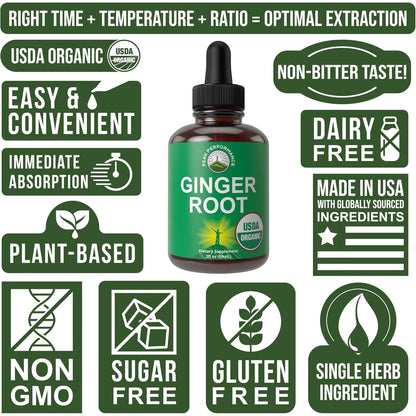 Gotas De Extracto De Raiz De Jengibre Organico Usda Apoyo Digestivo E Inmunologico