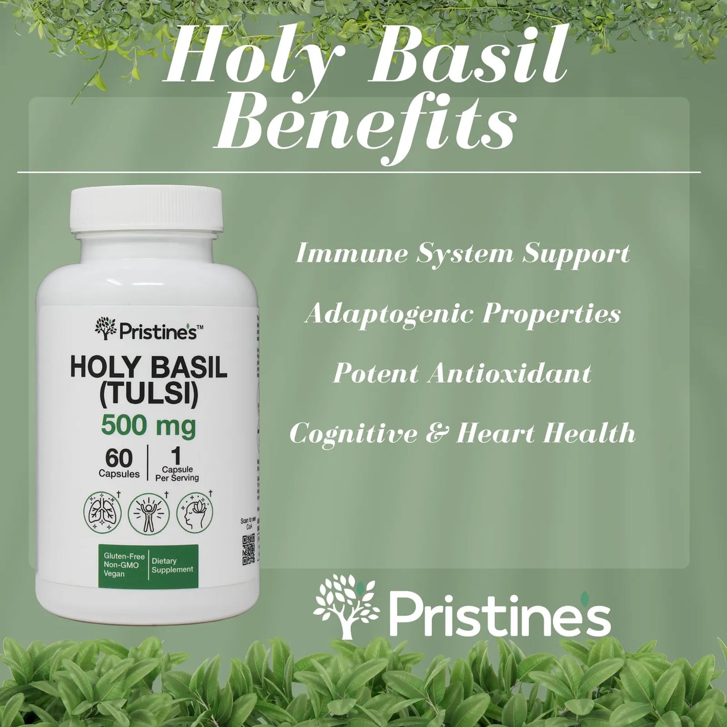 Albahaca Santa Tulsi 500 Mg Suplemento Adaptogeno Relajante Apoyo Inmunologico Vegano Sin OMG