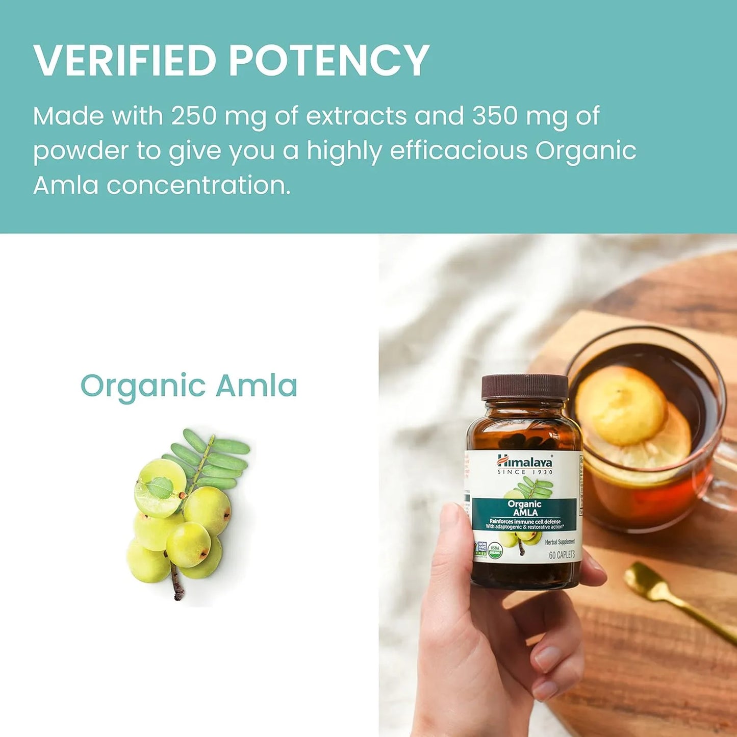 Amla Orgánico 600 Mg Apoyo Inmunológico Defensa Celular 60 Comprimidos