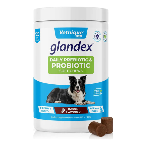 Probióticos Masticables Para Perros Vetnique Glandex Sabor Tocino Salud Intestinal