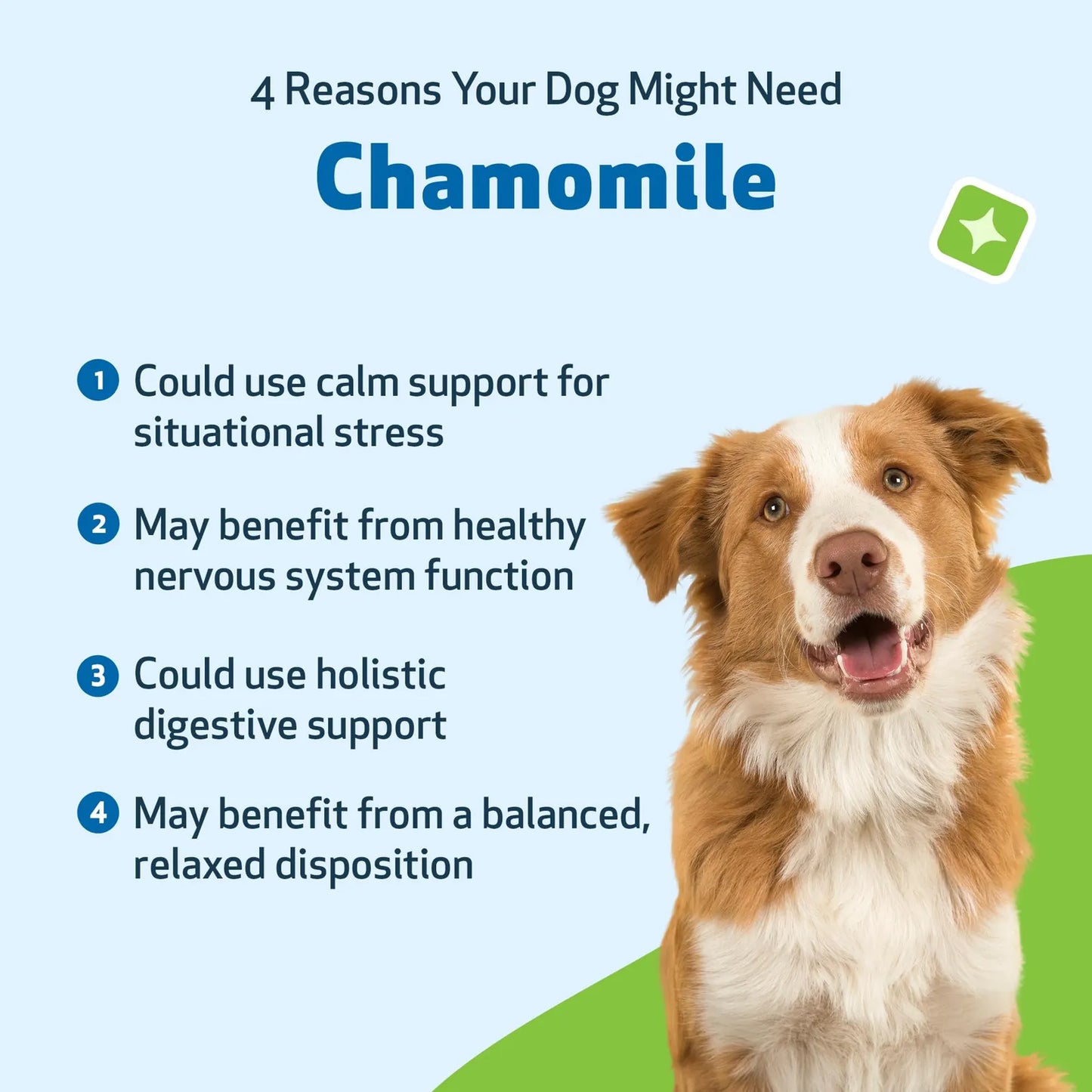 Manzanilla Para Perros Orgánica Digestión Saludable Tranquilidad Suplemento Veterinario