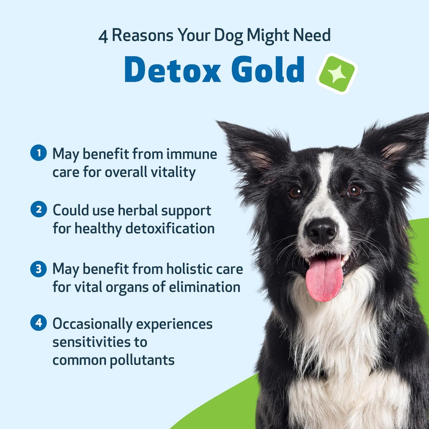 Detox Gold Para Perros Suplemento Natural Desintoxicante Y Fortalecedor Inmunologico
