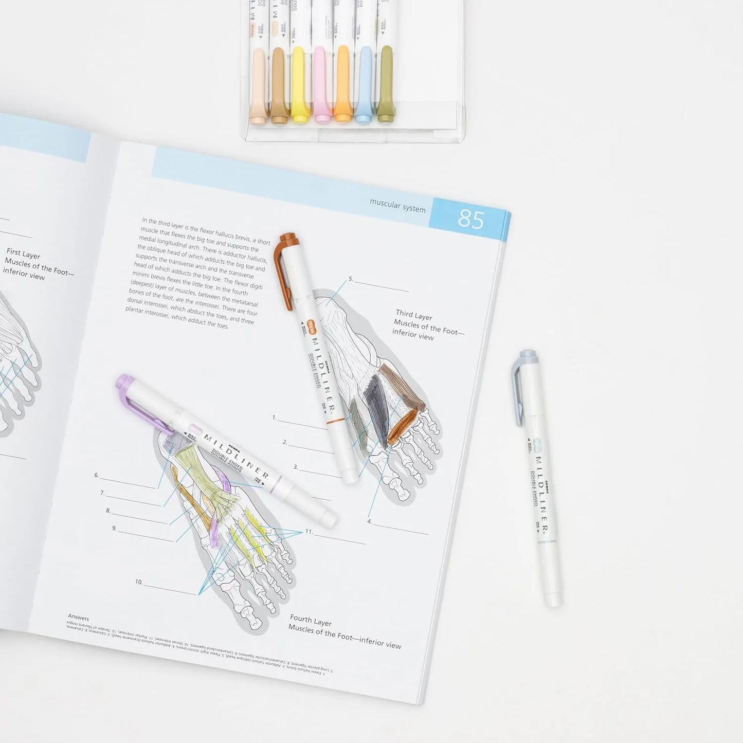 Zebra Pen Mildliner 10 Resaltadores Doble Punta Colores Suaves Sin Traspaso