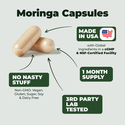 Capsulas De Moringa Pura 800 Mg Energia Metabolismo Antioxidante Vegano