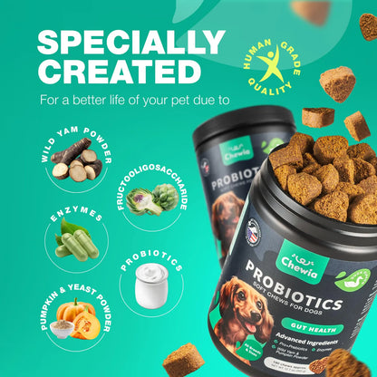 Masticables Probióticos Para Perros Salud Intestinal Digesti Importaciones Gold