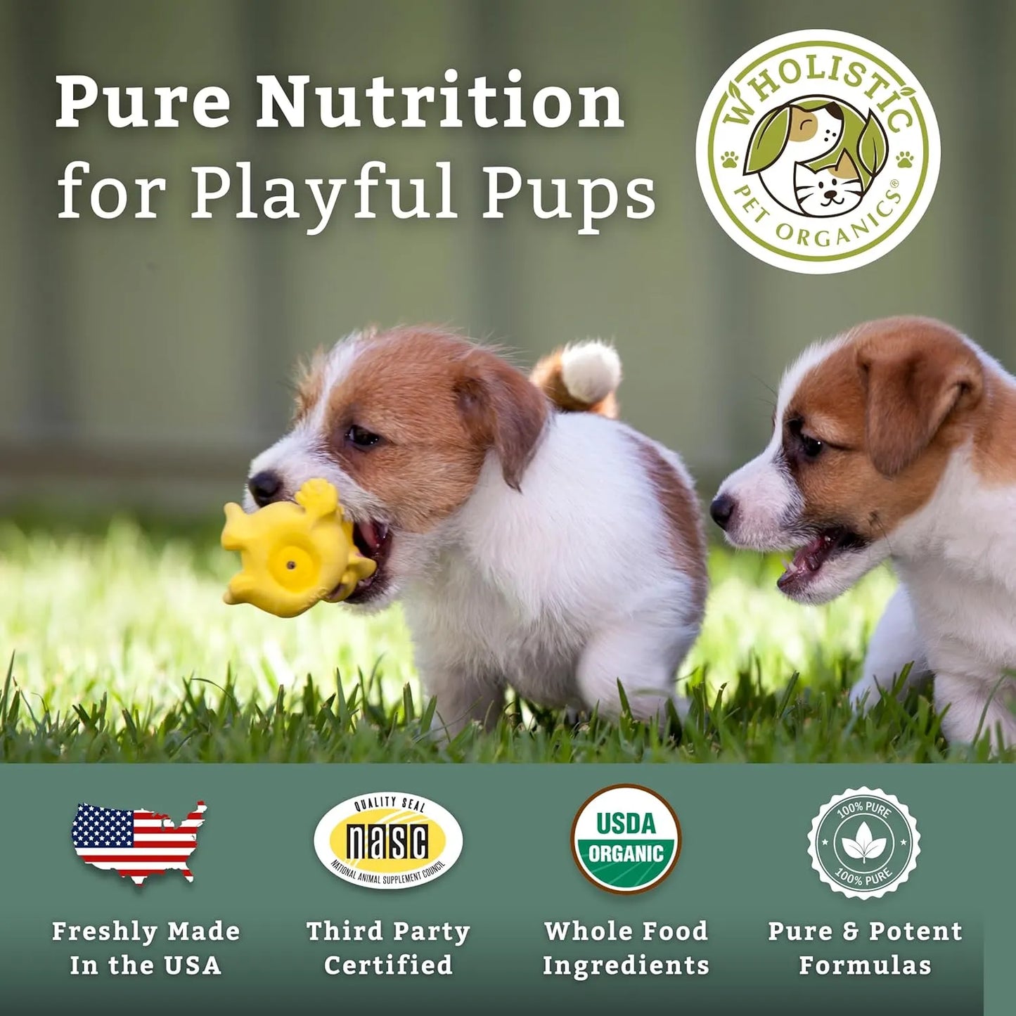Vitaminas En Polvo Para Cachorros Apoyo Digestivo Inmunológico Wholistic Pet Organics