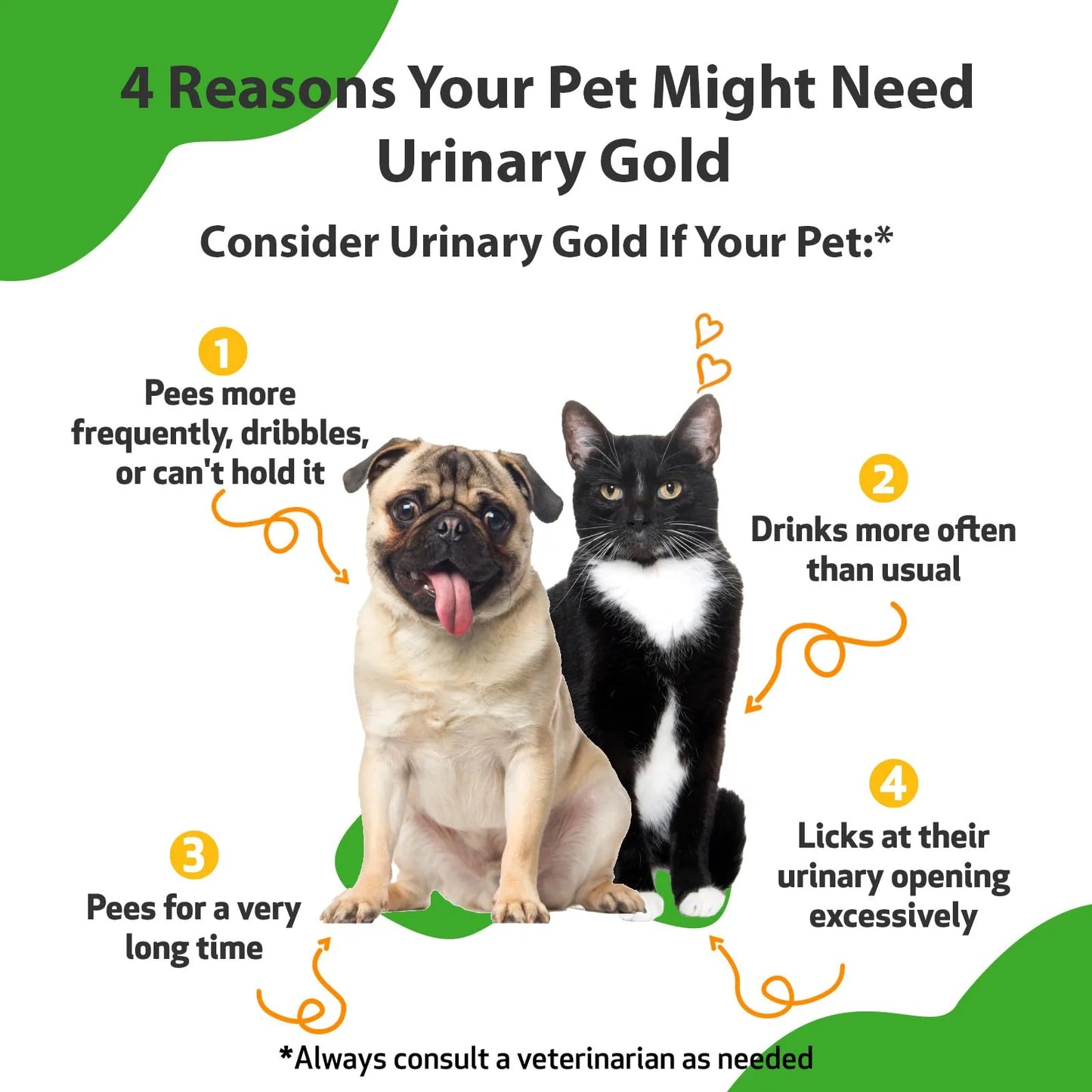 Suplemento Urinario Pet Wellbeing Para Perros Y Gatos Salud Vejiga Y Tracto Urinario